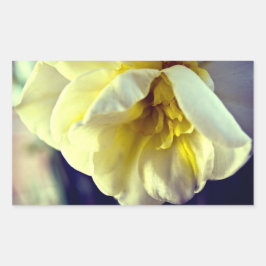 Narcissus Daffodil Rechthoekige Sticker