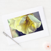 Narcissus Daffodil Rechthoekige Sticker (Envelop)
