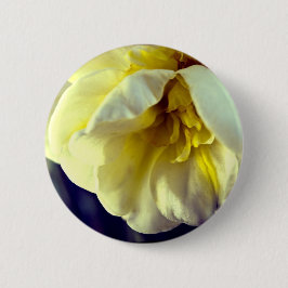 Narcissus Daffodil Ronde Button 5,7 Cm