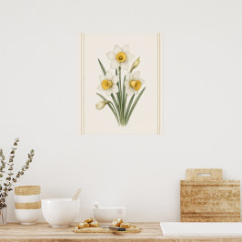 Narcissus, december geboortebloem botanische kunst poster