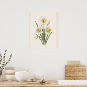 Narcissus, december geboortebloem botanische kunst poster