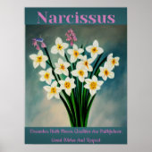 Narcissus December Poster van de Bloemkwaliteit (Voorkant)