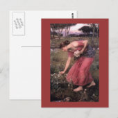 Narcissus die Bloemen in de Meadow schoppen Briefkaart (Voorkant / Achterkant)