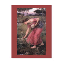 Narcissus die Bloemen in de Meadow schoppen