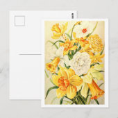 Narcissus en Daffodil Illustratie Briefkaart (Voorkant / Achterkant)