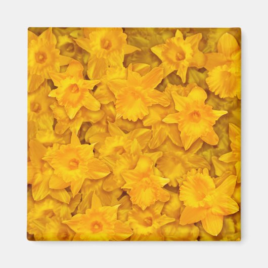 Narcissus Flowers Magneet (Voorkant)