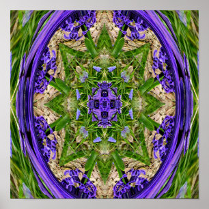 Narcissus Garden..... Poster
