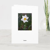 Narcissus Gefeliciteerd met je verjaardag Kaart (Achterkant)