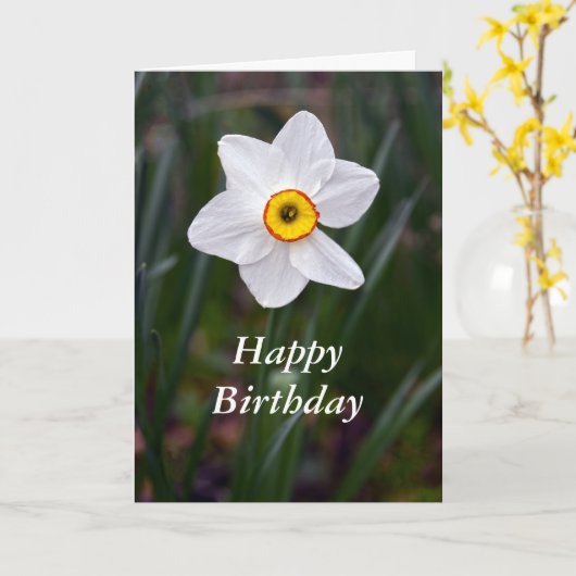 Narcissus Gefeliciteerd met je verjaardag Kaart (Gele Bloem)