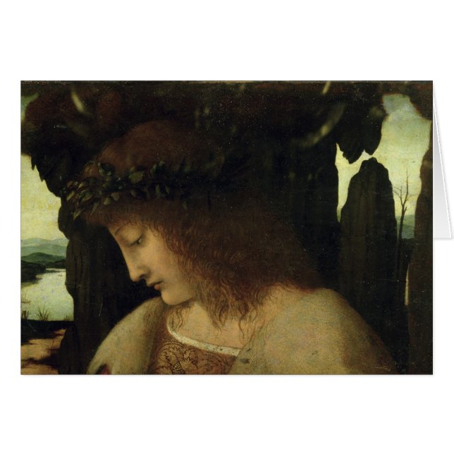 Narcissus in de fontein (Voorkant Horizontaal)