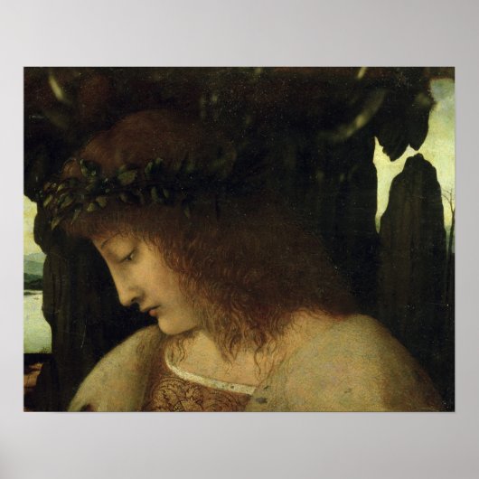Narcissus in de fontein poster (Voorkant)