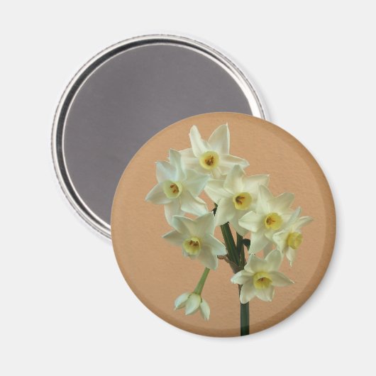 Narcissus Magnet (Voorkant / Achterkant)