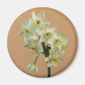 Narcissus Magnet (Voorkant)