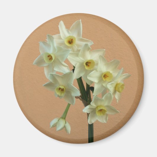 Narcissus Magnet (Voorkant)