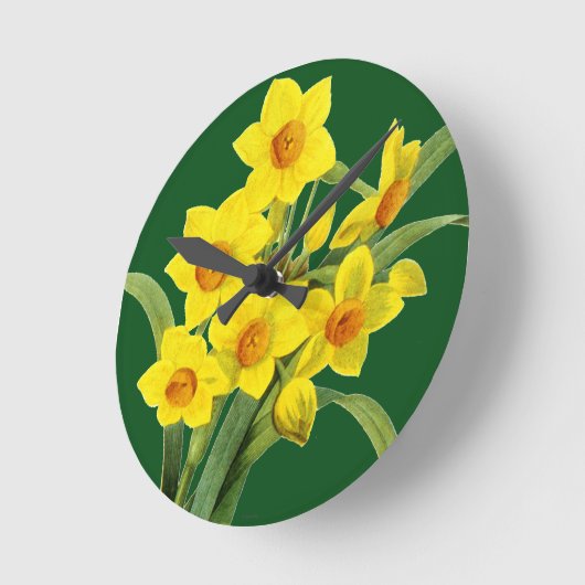 Narcissus (N Tazetta) Ronde Klok (Hoek)