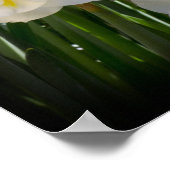 Narcissus narcis poster (Hoek)