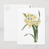 narcissus (Narcissus tazetta) van Redouté Briefkaart (Voorkant / Achterkant)