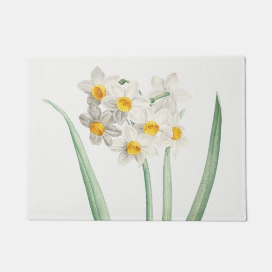 Narcissus, Pierre-Joseph Redouté, 1805 Deurmat (Voorkant)