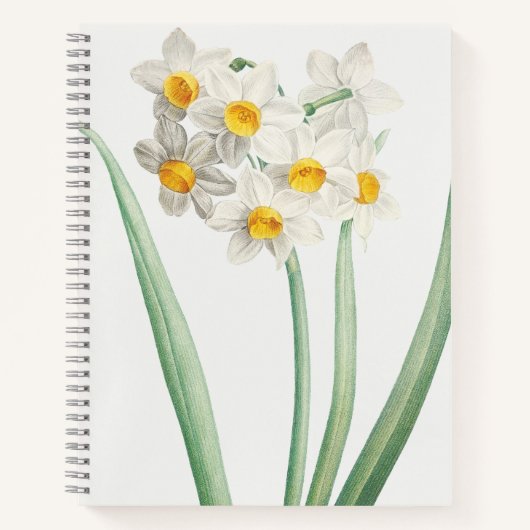 Narcissus, Pierre-Joseph Redouté, 1805 Notitieboek (Voorkant)