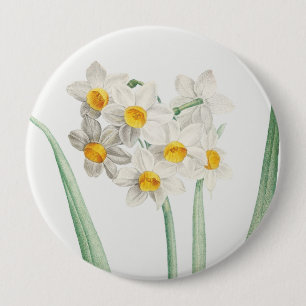 Narcissus, Pierre-Joseph Redouté, 1805 Ronde Button 4,0 Cm