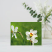 Narcissus Plant Briefkaart (Staand voorkant)