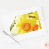 narcissus rechthoekige sticker (Envelop)