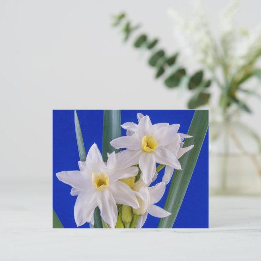 Narcissus Spring Briefkaart (Staand voorkant)