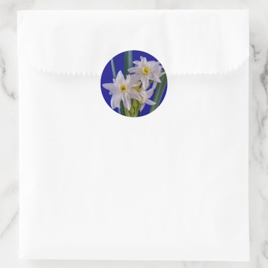 Narcissus Spring Ronde Sticker (Tas)