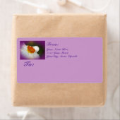 Narcissus - Springtime Beauty Etiket (Insitu)