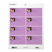 Narcissus - Springtime Beauty Etiket (Full Sheet)