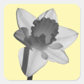 Narcissus Sticker (Voorkant)