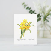Narcissus tazetta briefkaart (Staand voorkant)