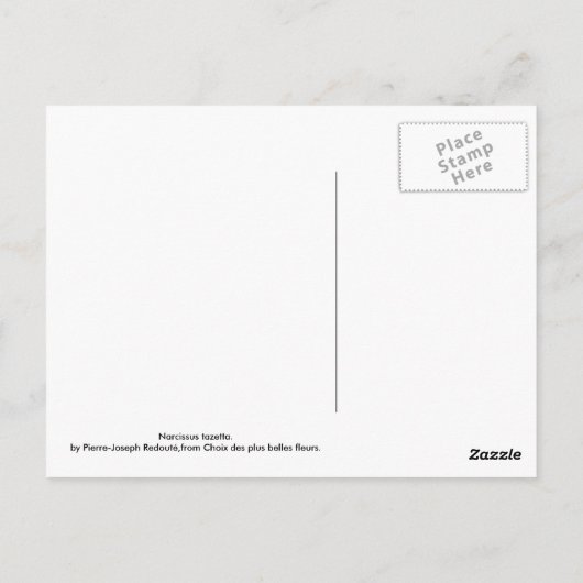 Narcissus tazetta briefkaart (Achterkant)