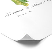 Narcissus tazetta poster (Hoek)