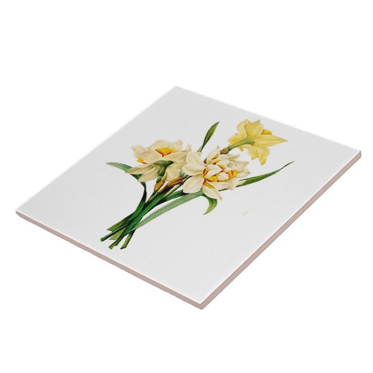 Narcissus Tegeltje (Zijkant)