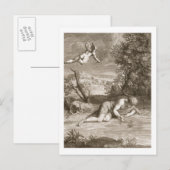 Narcissus transformeerde in een Bloem, 1730 (engra Briefkaart (Voorkant / Achterkant)