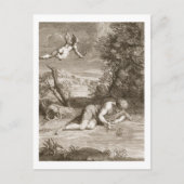 Narcissus transformeerde in een Bloem, 1730 (engra Briefkaart (Voorkant)