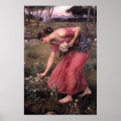 Narcissus van John William Waterhouse - 1912 Poster (Voorkant)