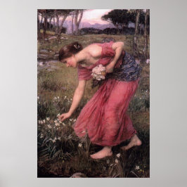 Narcissus van John William Waterhouse - 1912 Poster