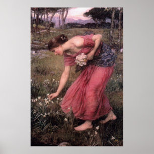 Narcissus van John William Waterhouse - 1912 Poster