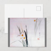 Narcissus, Watanabe Seitei Briefkaart (Voorkant / Achterkant)