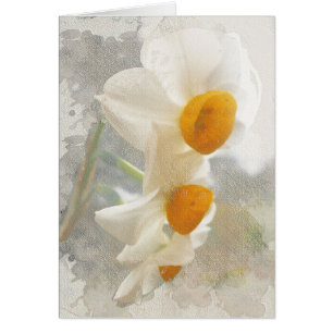 Narcissus. Waterverf.