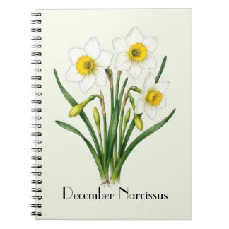 Narcissusbloemen in december notitieboek