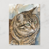 Nari- Een studie van mijn kat Briefkaart (Voorkant)
