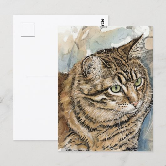 Nari- Een studie van mijn kat Briefkaart (Voorkant / Achterkant)