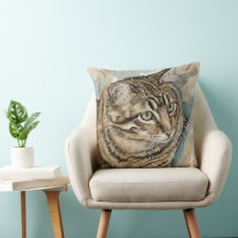 Nari- Een studie van mijn kat