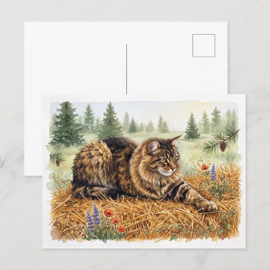 Nari van het bos briefkaart (Voorkant / Achterkant)