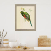 Narina Trogon Poster (Keuken)