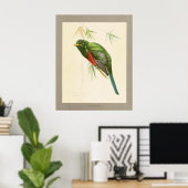 Narina Trogon Poster (Thuiskantoor)