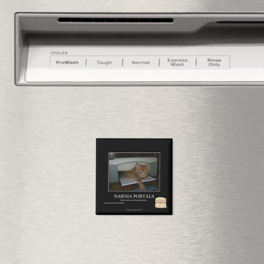 Narnia Portals Magneet (Insitu (Vaatwasser))